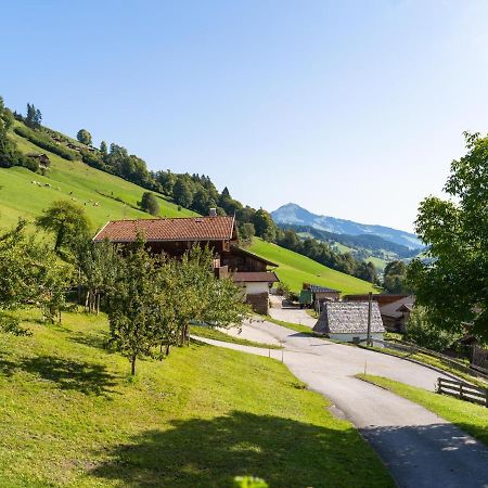 Apartamento Anderla 1 Wildschoenau Exterior foto